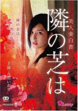 孤岛来客电影在线观看封面